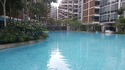 Floridian (D21), Condominium #160551762